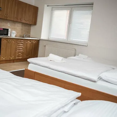 Penzión pre hostí Burra 3*