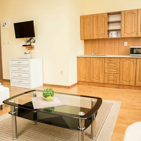 Burra Penzión pre hostí 3*